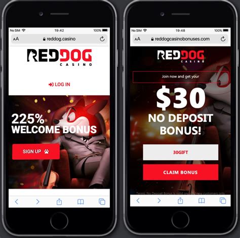 Red dog casino mobile